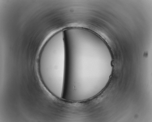 X0000102360992200808010955