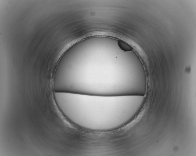 X0000102360993200808010955