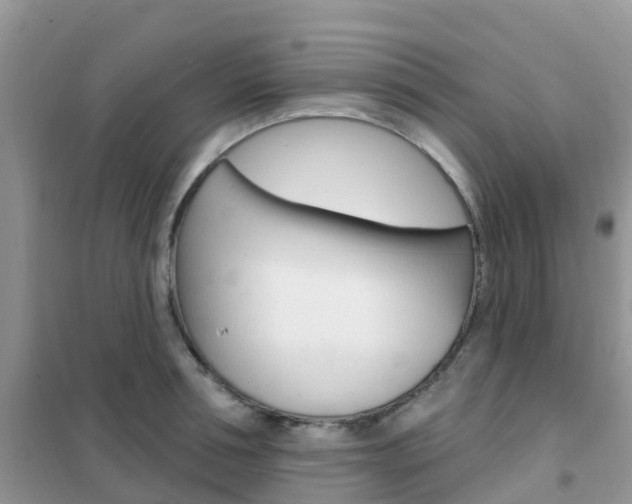 X0000102360994200808010955