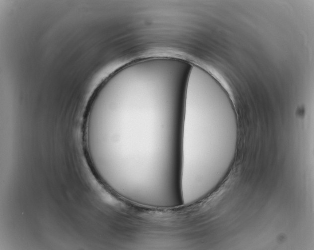 X0000102360995200808010955