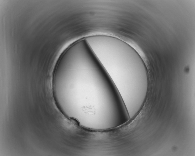 X0000102360996200808010955