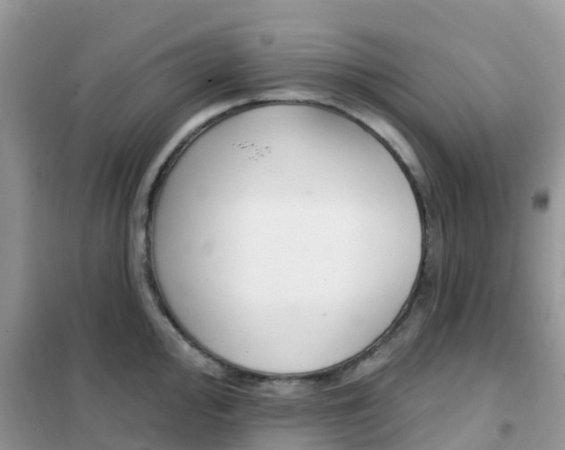 X0000102361000200808010955