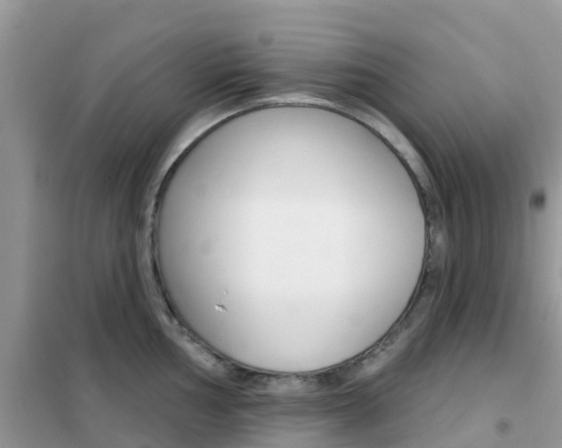 X0000102361002200808010955