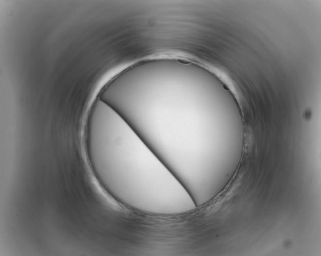 X0000102361003200808010955
