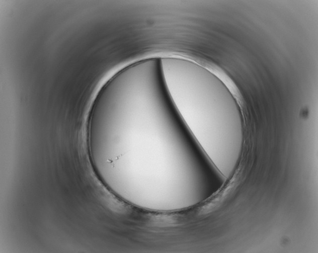 X0000102361004200808010955