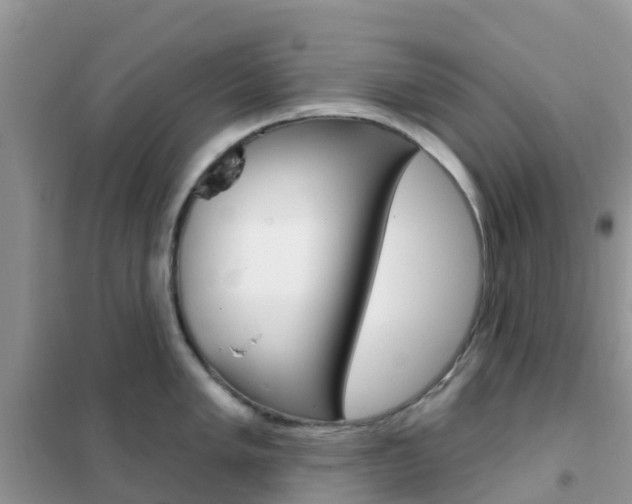 X0000102361005200808010955