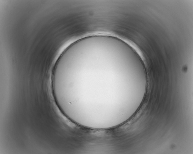 X0000102361006200808010955