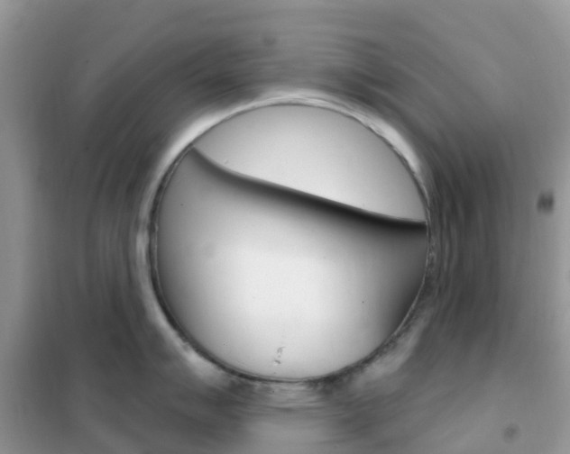 X0000102361007200808010955