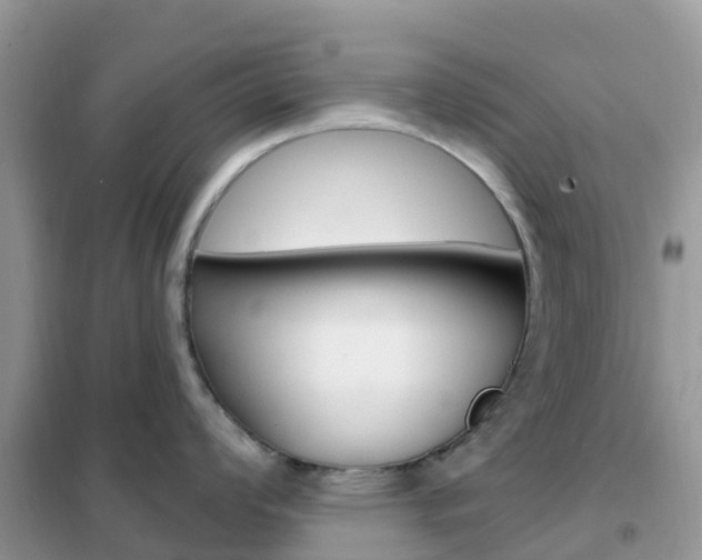 X0000102361008200808010955