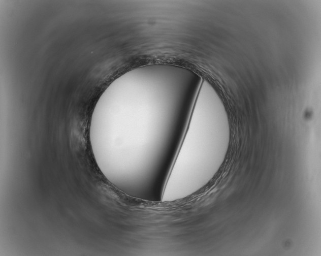 X0000102361010200808010954