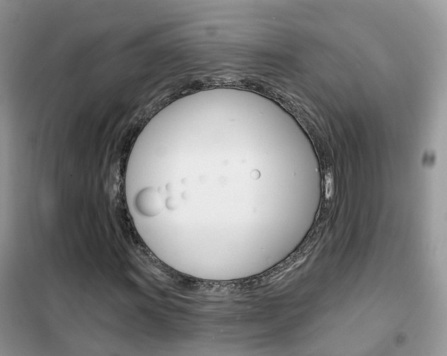 X0000102361011200808010954