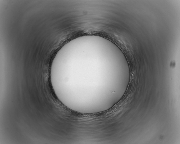 X0000102361012200808010954