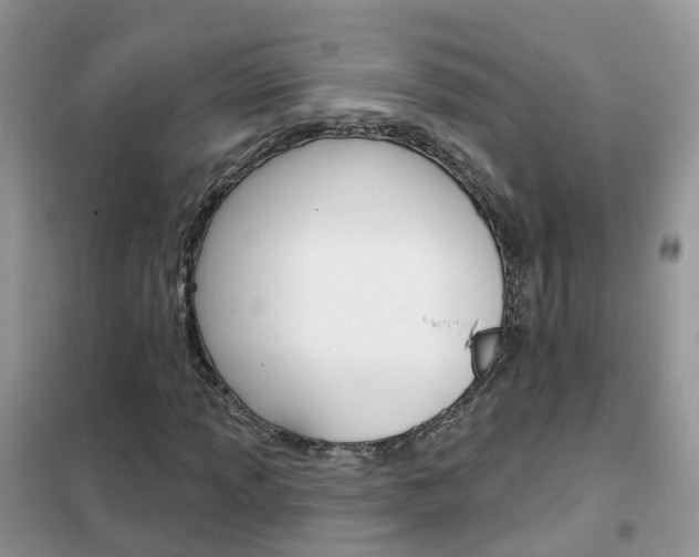 X0000102361013200808010954