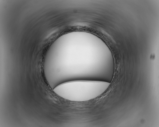 X0000102361014200808010954