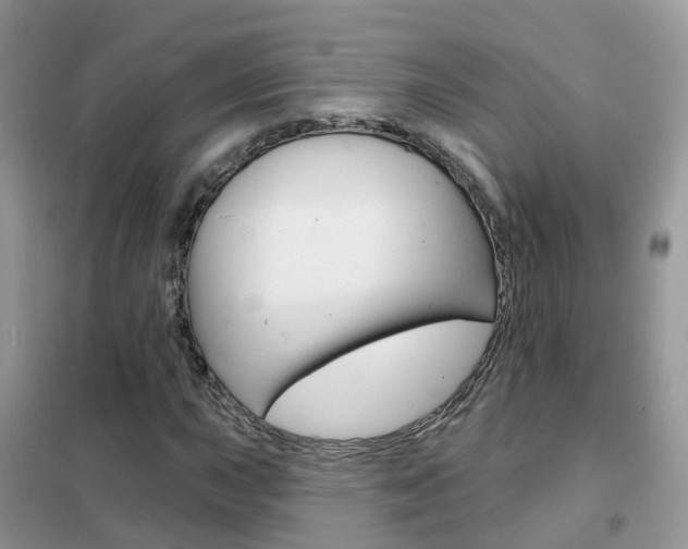 X0000102361015200808010954
