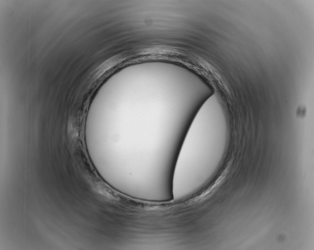 X0000102361017200808010954