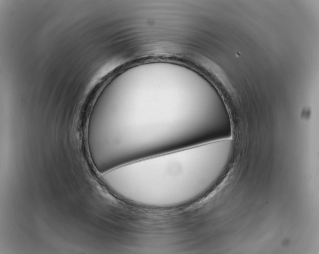 X0000102361018200808010954