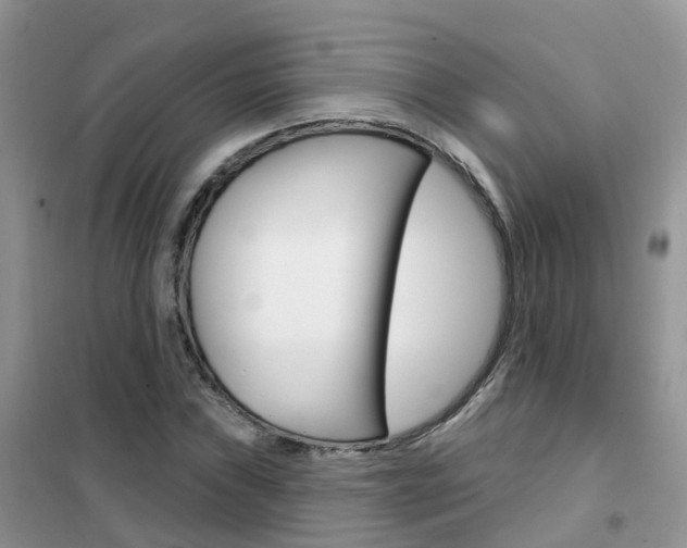 X0000102361019200808010954
