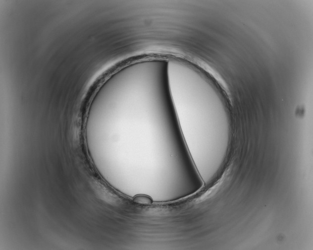 X0000102361021200808010954