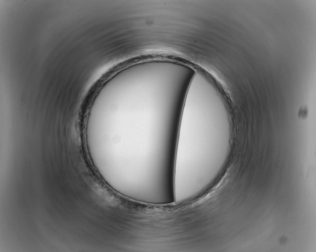 X0000102361022200808010954