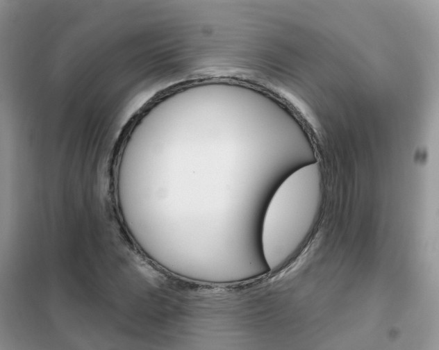 X0000102361023200808010954