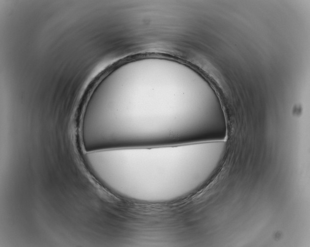 X0000102361024200808010954