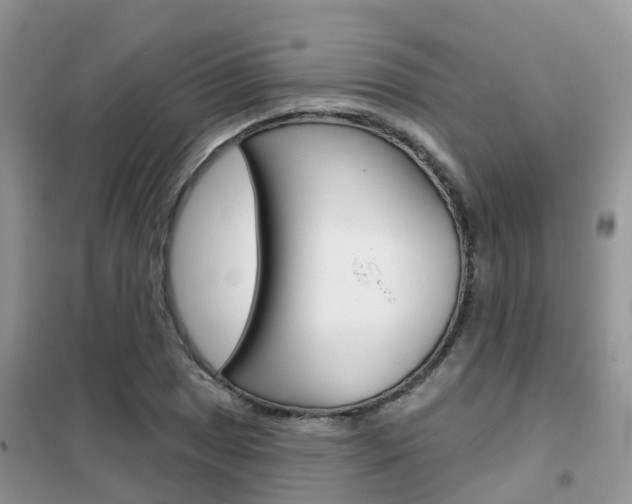 X0000102361025200808010954