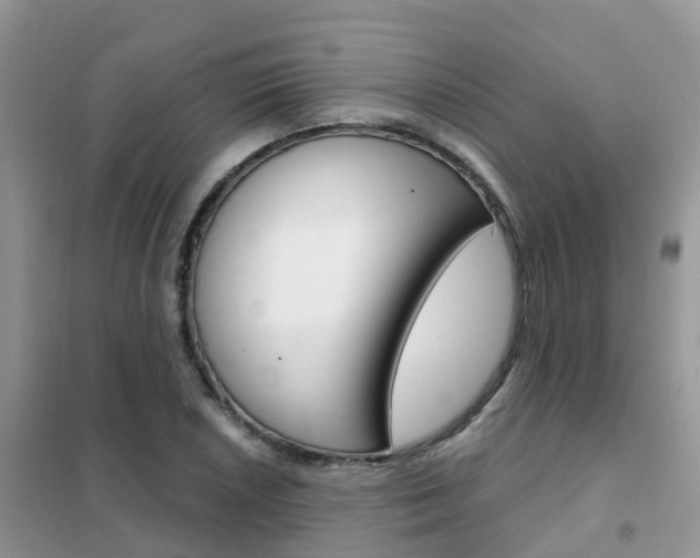 X0000102361026200808010954