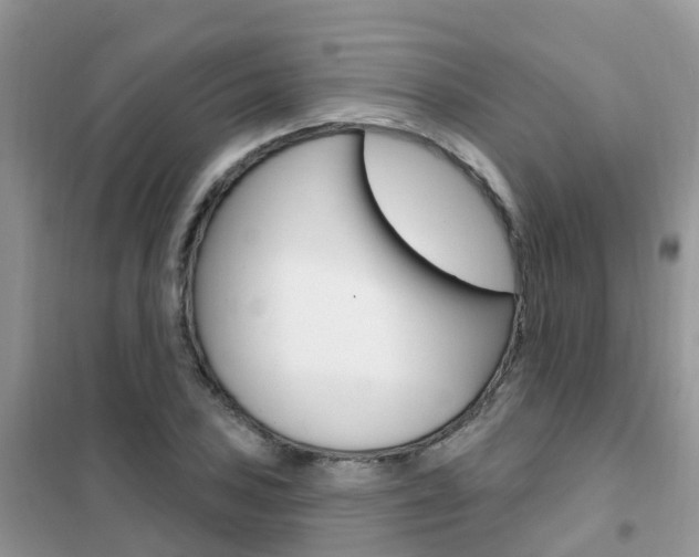 X0000102361027200808010954
