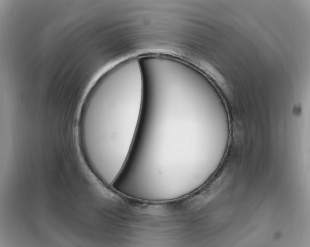 X0000102361028200808010954