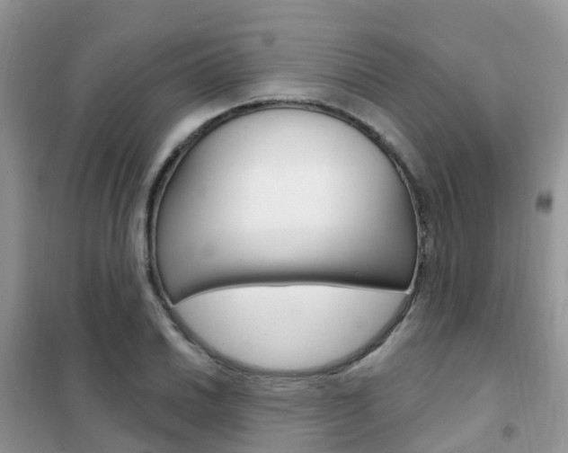 X0000102361030200808010954