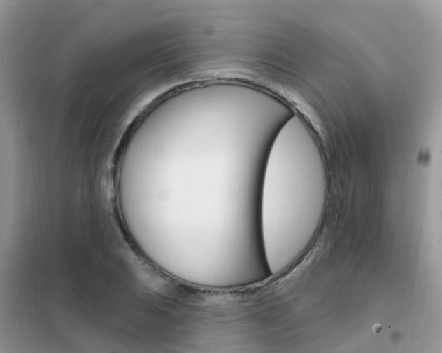 X0000102361031200808010954