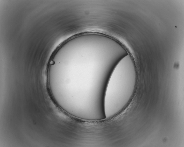 X0000102361032200808010954