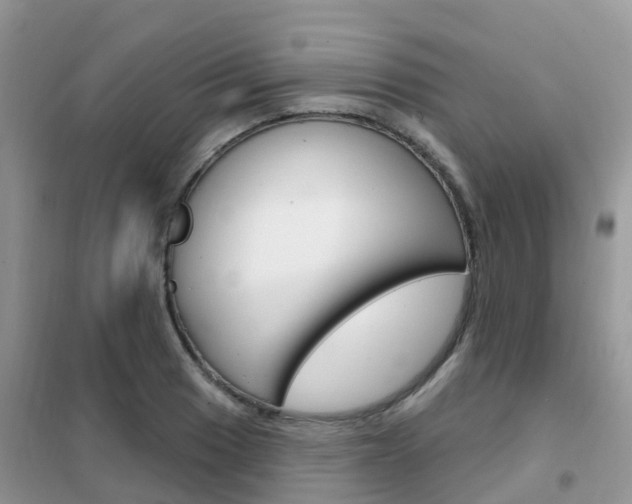 X0000102361033200808010954