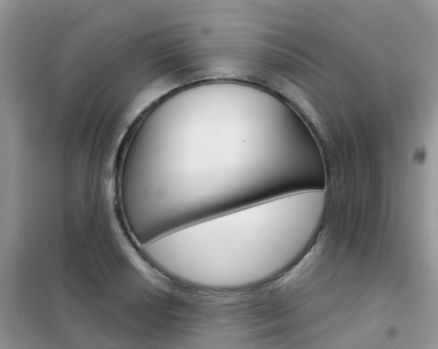 X0000102361034200808010954