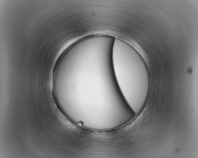 X0000102361036200808010954