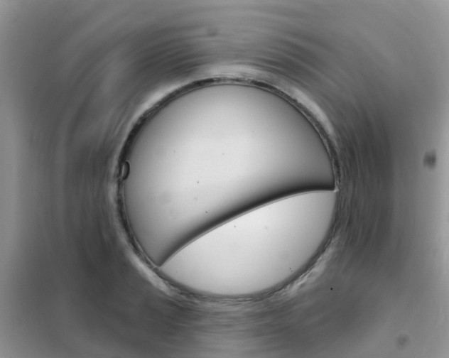 X0000102361037200808010954