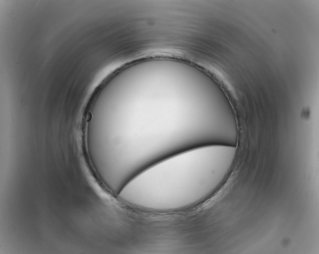 X0000102361038200808010954