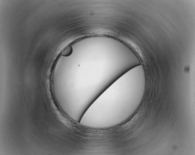 X0000102361039200808010954