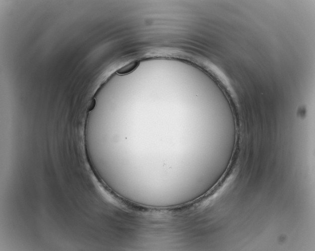 X0000102361041200808010954