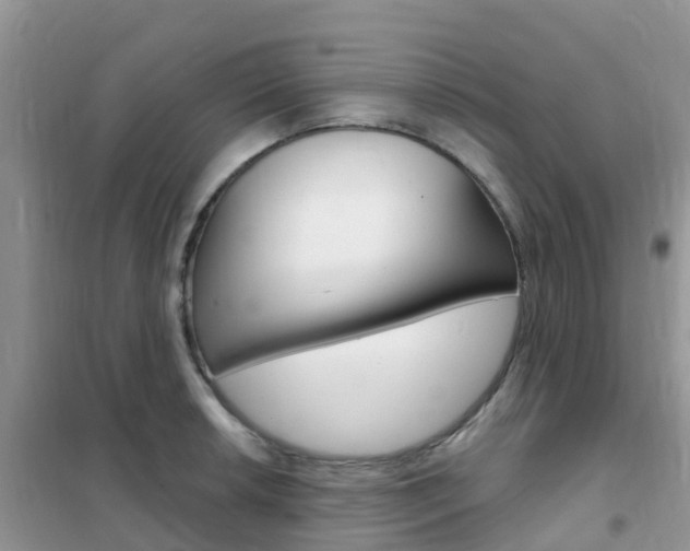 X0000102361042200808010954