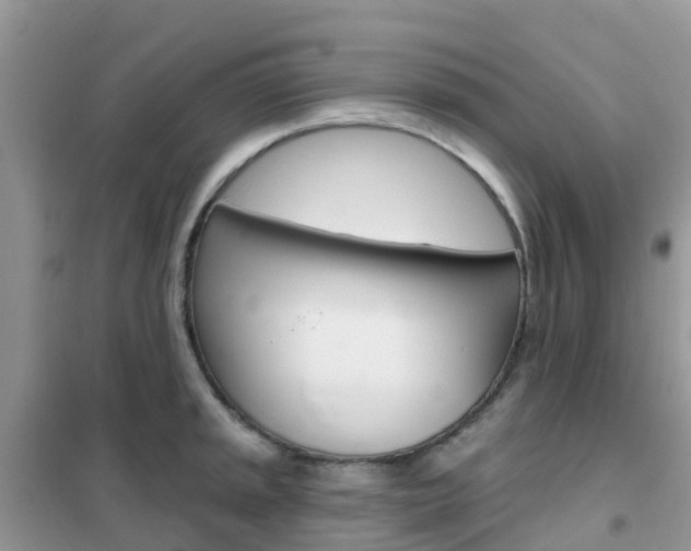 X0000102361045200808010954