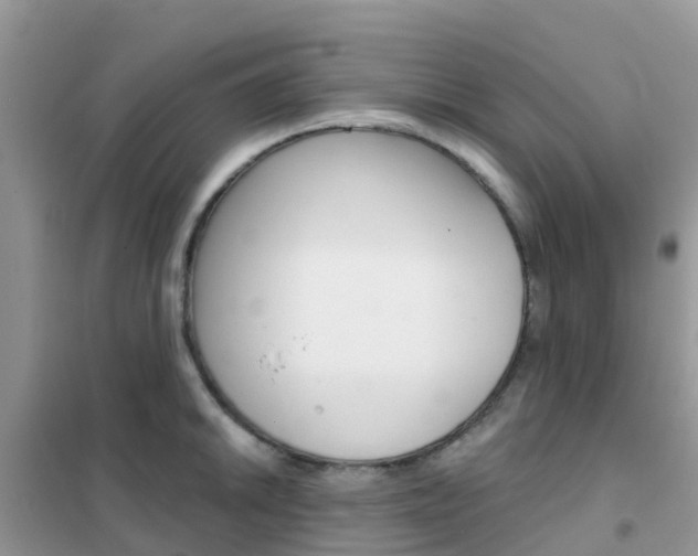 X0000102361046200808010955