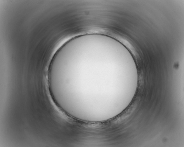 X0000102361047200808010955