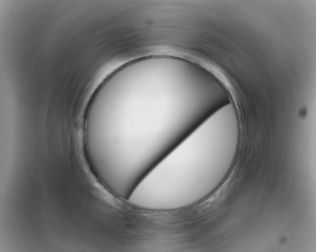 X0000102361048200808010955