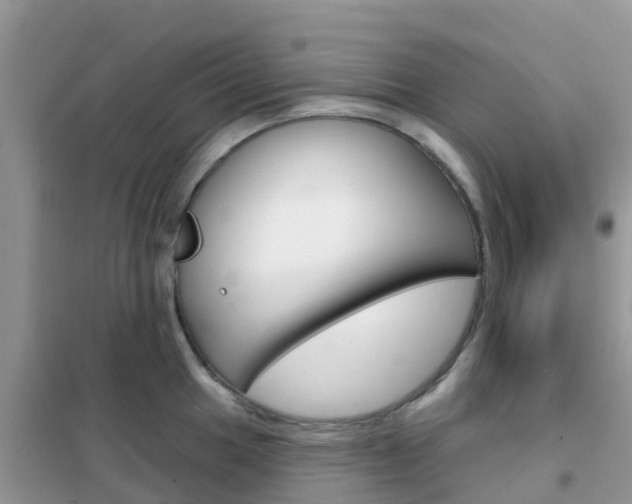 X0000102361049200808010955