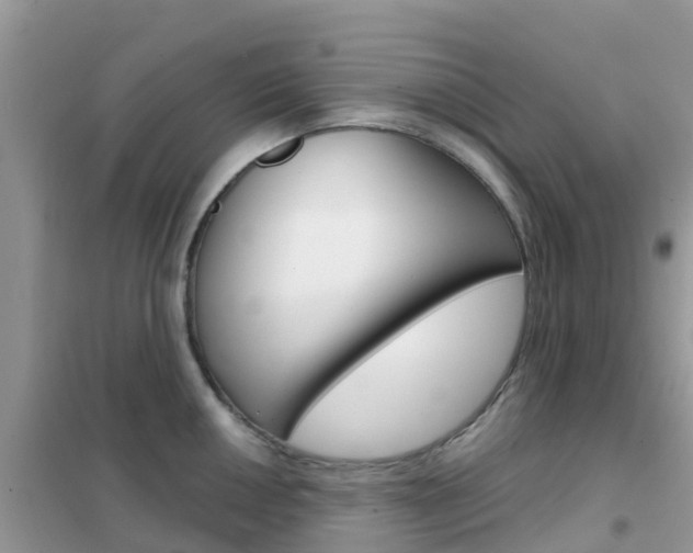 X0000102361050200808010955