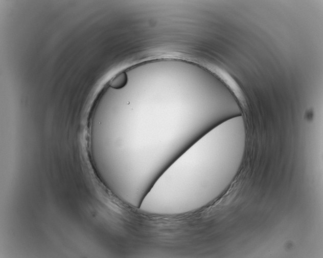X0000102361051200808010955