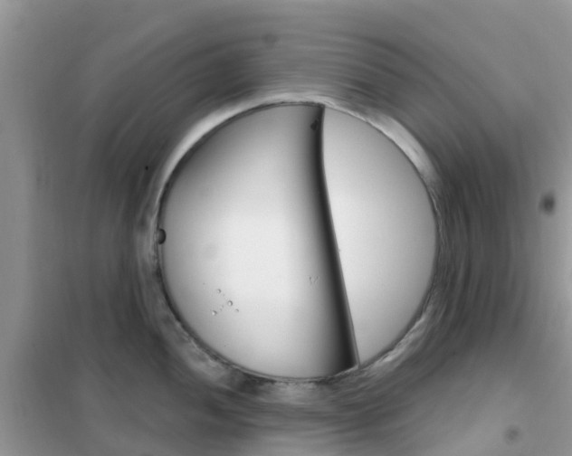 X0000102361052200808010955