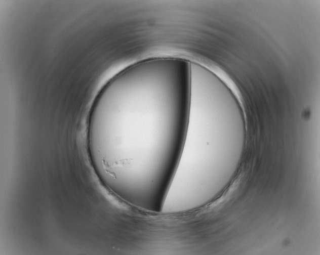 X0000102361053200808010955